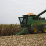 image of combine harvesting corn