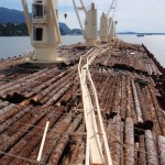 image of logs cut and stacked on ship